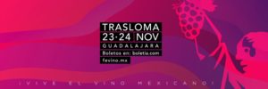Maleta de Viajes, viajes, turismo, Estados, fin de semana, Zacatecas, Hidalgo, Tabasco, Guanajuato, Jalisco, Guerrero