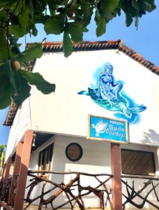 Maleta de Viajes, Hoteles, viajes, turismo, aventura, San Agustinillo, Mazunte, Oaxaca, Posada Buda Tortuga