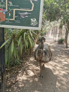 El Nido, aviario, especies de aves, Ixtapaluca, santuario de aves, quetzal, Jesús Estudillo López, vida silvestre, avestruz, cacatúa, guacamaya, emu, turaco de mejillas blancas