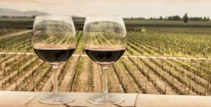 Valle de Guadalupe consolida cuatro años consecutivos entre los destinos más acogedores de México