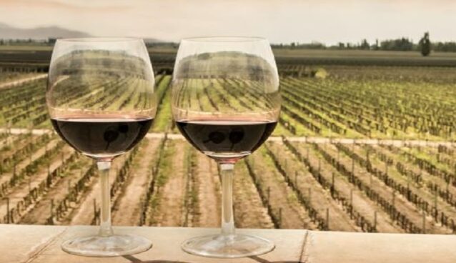 Maleta de Viajes, Baúl Gastronómico, viajes, turismo, aventura, vino, Malbec World Day