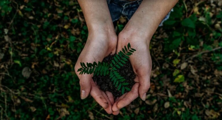 Maleta de Viajes, Hoteles, viajes, turismo, aventura, ecoturismo, Alltournative, Día de la Tierra