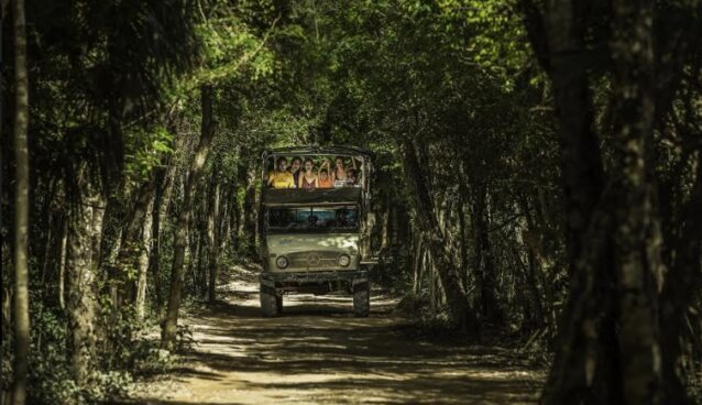 Maleta de Viajes, Hoteles, viajes, turismo, aventura, MaletaEco, Bosques, Alltournative