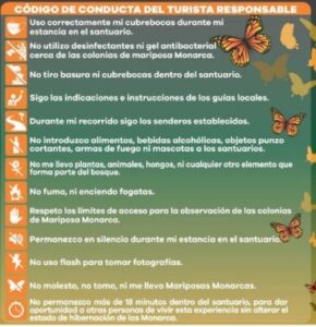 Maleta de Viajes, Hoteles, viajes, turismo, aventura, Santuario de la Mariposa Monarca El Rosario, mariposa monarca