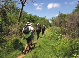 Maleta de Viajes, turismo, viajes, aventura, viajeros, hoteles, vuelos, experiencias, travel, hoteles, Sefotur Yucatán, Mayab