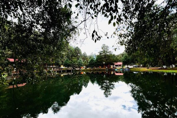 Huasca de Ocampo, Hidalgo Viajes, aventura, bosque ,estados, Maleta de VIajes, el zembo