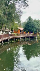 Huasca de Ocampo, Hidalgo Viajes, aventura, bosque ,estados, Maleta de VIajes, el zembo