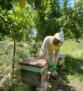 La ruta de la miel, Maleta de Viajes, viajeros, experiencias, miel, abejas, Terrenate, Tlaxcala