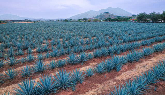 Maleta de VIajes, viajeros,, Guadalajara, Jalisco, vacaciones