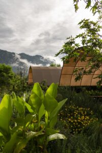 Maleta de Viajes, turismo espiritual, estrés laboral, Tepoztlán, Morelos, hotel casa fernanda., WELLNESS