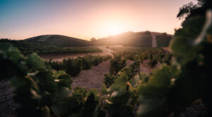 Maleta de Viajes, turismo, viajes, aventura, viajeros, internacional, Visit California,