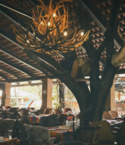 Maleta de VIajes, viajeros,, Guadalajara, Jalisco, vacaciones, Mariachi, restaurante Guadalajara.