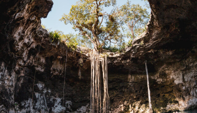 Maleta de Viajes, Hoteles, viajes, turismo, aventura, cenote x-canche, Yucatán