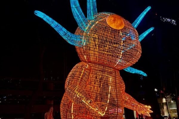 Maleta de Viajes, turismo, viajes, aventura, viajeros, estados, vacaciones, Filux,