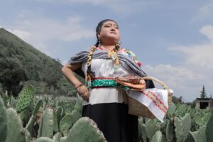 Feria Nacional del Mole, San Pedro Atocpan, Milpa Alta, mole, Maleta de Viajes, viajeros, CDMX, viajeros, baúl gastronómico