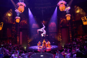 Cirque du Soleil JOYÀ, vidanta, viajes, maleta de viajes, viajeros, hoteles 