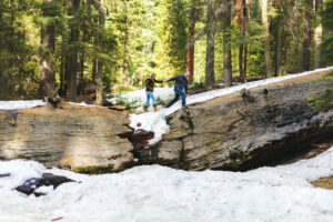 Maleta de Viajes, turismo, viajes, aventura, viajeros, internacional, Visit California,