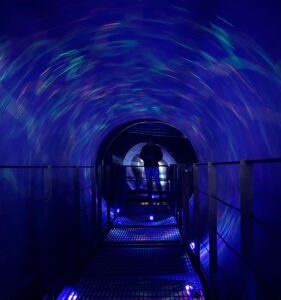 Brilla Fest, Maleta de viajes, estados, Atlixco, Puebla, Navidad, experiencia navideña, Brilla fest Atlixco