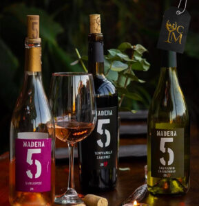 Catando México, Guanajuato, vino, vinicultor, vinícolas, viñedos, uva, teatro la paz, Claudia Valdepeña, degustación, enología, casa madero, pedro domecq, baja california, Nayarit, queretaro, festival gourmet, corredor gastronómico, productos gourmet, Maleta de viajes, casa madero, pedro domecq, valle de guadalupe