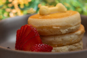 Maleta de Viajes, turismo, viajes, aventura, viajeros, hoteles, vuelos, experiencias, travel, hoteles, perro,