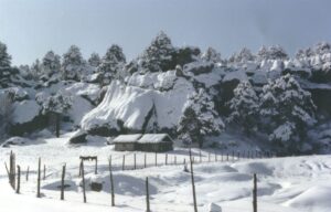 Nevado de Toluca, Estado de México, montaña, aventura, Maleta de Viajes, viajeros, día de la montaña, Malinche, Pico de Orizaba, Sierra de San Pedro Mártir, Baja California, Sierra Tarahumara, Chihuahua