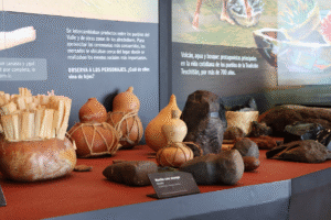 Maleta de VIajes, viajeros,, Guadalajara, Jalisco, vacaciones