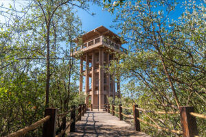 Maleta de VIajes, viajeros,, Guadalajara, Jalisco, vacaciones