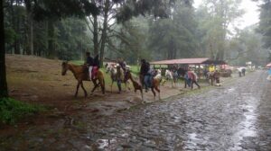 Maleta de Viajes, turismo, viajes, aventura, viajeros, hoteles, vuelos, experiencias, travel, hoteles, Morelos,