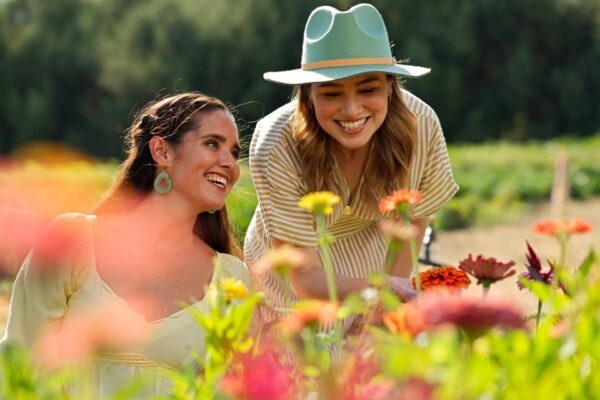 Maleta de Viajes, Hoteles, viajes, turimo, aventura, Baja California, ruta de las flores