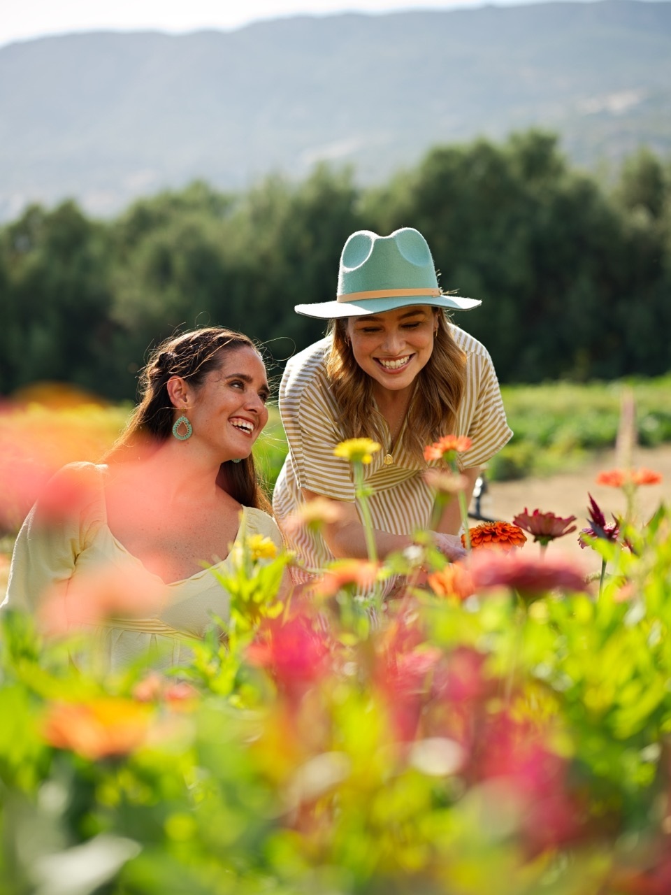 LA RUTA DE LAS FLORES: CUANDO EL DESIERTO   SE LLENA DE COLOR