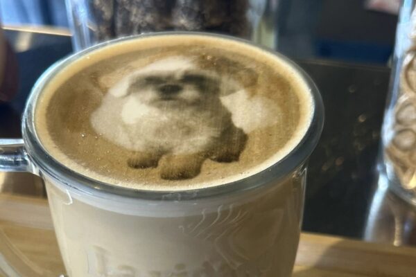 Friloo Café, cafeteria cdmx, mascotas, cafetería para perros, maleta pet, viajeros petfriendly