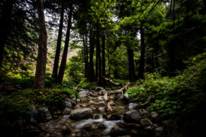 Maleta de Viajes, turismo, viajes, aventura, viajeros, internacional, Visit California,