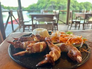 Maleta de Viajes, viajes, turismo, aventura, Veracruz, Laguna de Mandinga, turiticket