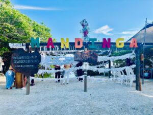 Maleta de Viajes, viajes, turismo, aventura, Veracruz, Laguna de Mandinga, turiticket