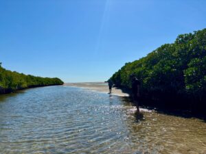 Sonora, Maleta de Viajes, Aventura, deportes extremos, maleta fit, sandboard, turismo de aventura, sonora tours, Bahía de Kino,Isla Tiburón, Comcaac