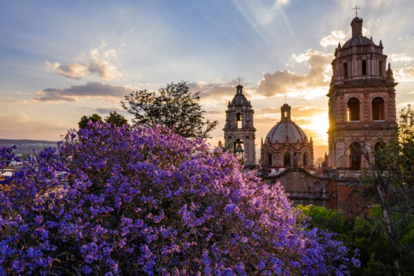 Maleta de Viajes, turismo, viajes, viajeros, estados, vacaciones, San Luis Potosi, primavera, San Luis Capital