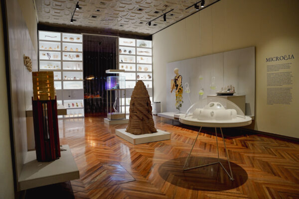 maleta de Viajes, viajes, turismo, aventura, Franz Mayer, Museo, cultura