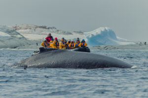 QuarkExpeditions, viajes, Maleta de viajes, turismo, viajeros, Patogonia, excursiones