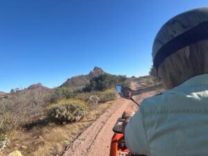 Sonora, Maleta de Viajes, Aventura, turismo, hoteles, Marinaterra, San Carlos
