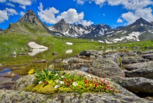 Turquía, Maleta de viajes, transporte, internacional, viajeros, destinos, Turkish airline,