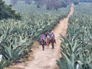 Más allá de las luciérnagas: así vivimos la experiencia completa de Nanacamilpa, Tlaxcala