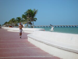 Maleta de Viajes, Hoteles, viajes, turismo, aventura, cenote x-canche, Yucatán