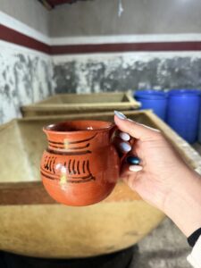 tlaxcala, Nanacamilpa,  bosque en México, Maleta de Viajes, viajeros, experiencias en la naturaleza, luicernagas, visitanana, prestadores de servicios turísticos de Nanacamilpa