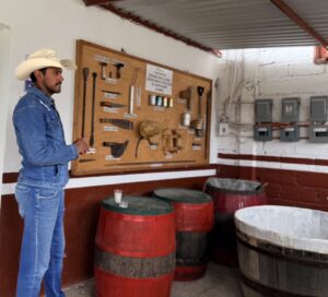 tlaxcala, Nanacamilpa,  bosque en México, Maleta de Viajes, viajeros, experiencias en la naturaleza, luicernagas, visitanana, prestadores de servicios turísticos de Nanacamilpa