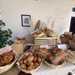 tlaxcala, Nanacamilpa, bosque en México, Maleta de Viajes, viajeros, experiencias en la naturaleza, luicernagas, visitanana, prestadores de servicios turísticos de Nanacamilpa