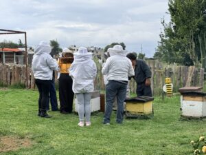tlaxcala, Nanacamilpa,  bosque en México, Maleta de Viajes, viajeros, experiencias en la naturaleza, luicernagas, visitanana, prestadores de servicios turísticos de Nanacamilpa