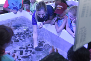 Aprender divirtiéndose: la aventura que propone Star Camp de Iberostar Beachfront Resorts