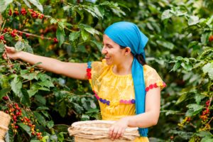 Día Internacional del Café:10 paradas para darle la vuelta al mundo taza a taza