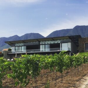 vinos, viñedo, Chapala Jalisco, enoturismo, sommelier, Maleta de Viajes, baúl gastronómico