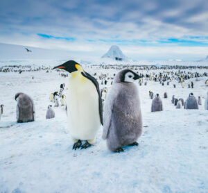 QuarkExpeditions, viajes, Maleta de viajes, turismo, viajeros, Patogonia, excursiones